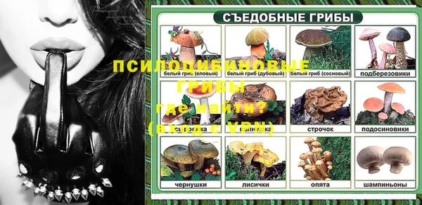 амф Ладушкин