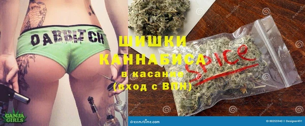 амф Ладушкин