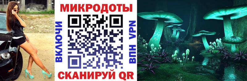 Псилоцибиновые грибы MAGIC MUSHROOMS  наркотики  Чулым 